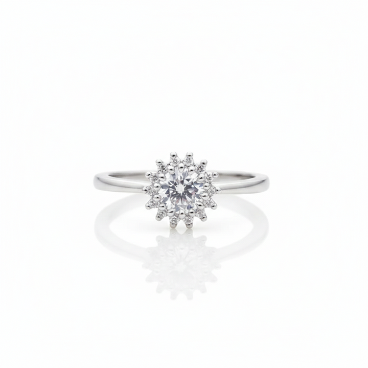 Zarina Bloom Band GWR -34