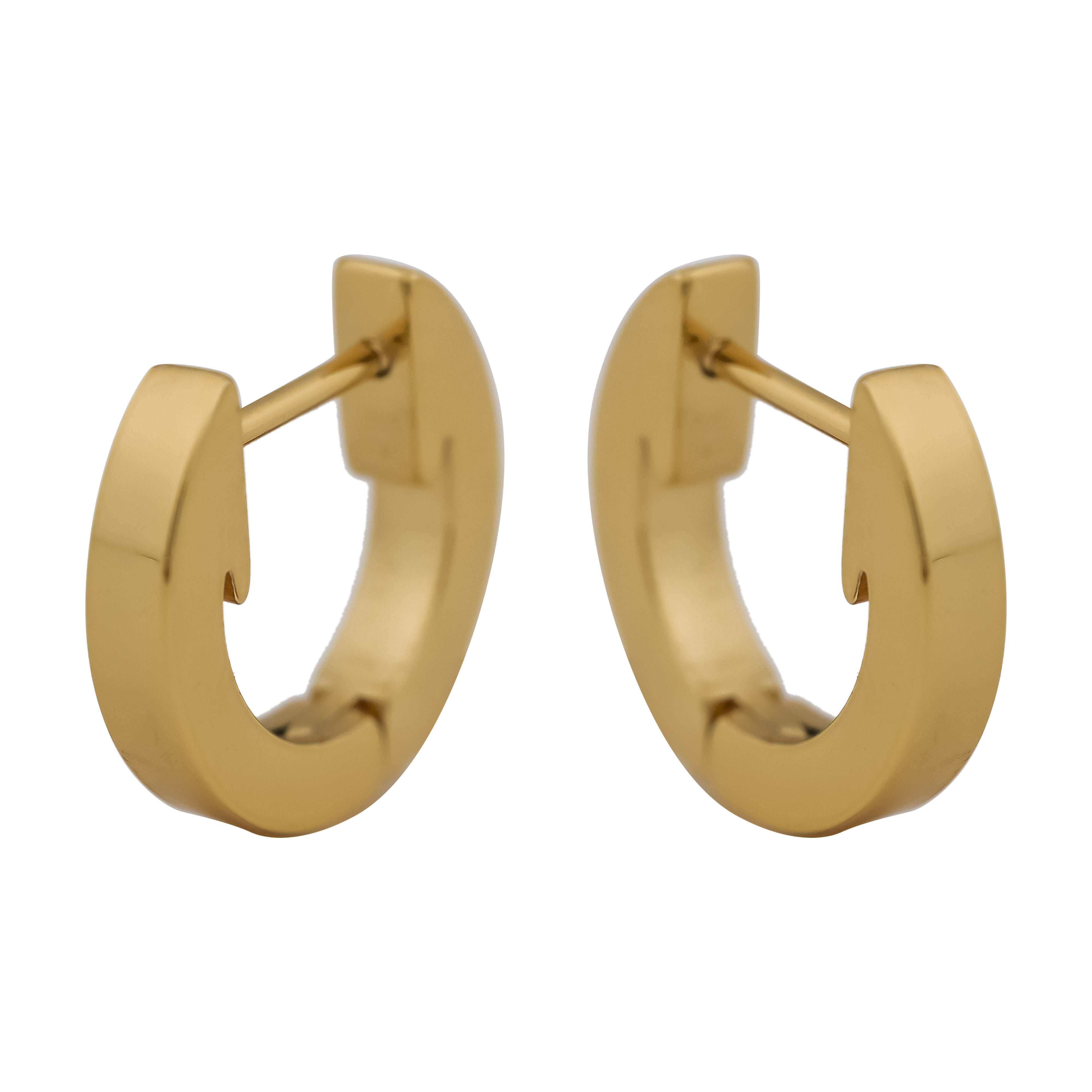 Timeless Circular Earring GWE -11