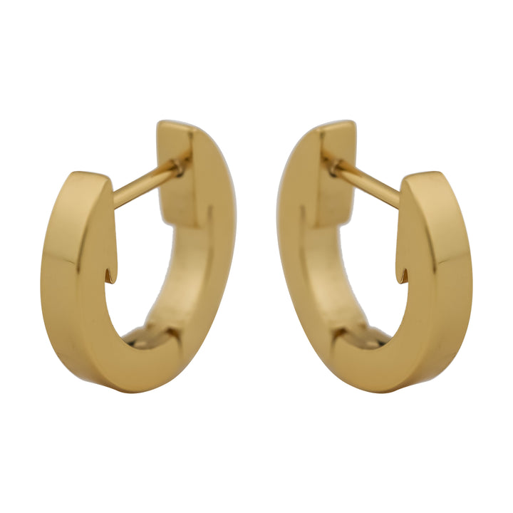 Timeless Circular Earring GWE -11